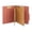 Red, variant on Staples Recycled Pressboard Classification Folder 2-Dividers 2 1/2" Expansion Letter Size Brick Red