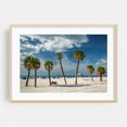 thumbnail image 2 of Clearwater Palms - Clearwater Beach Florida Photography Unframed Wall Art Print 5 x 7 inches, 2 of 7