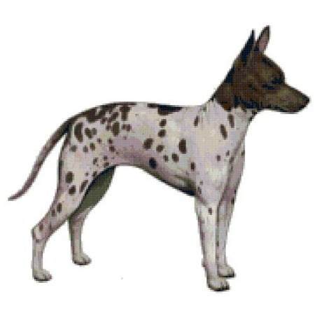 - American Hairless Rat Terrier Dog Counted Cross Stitch Pattern