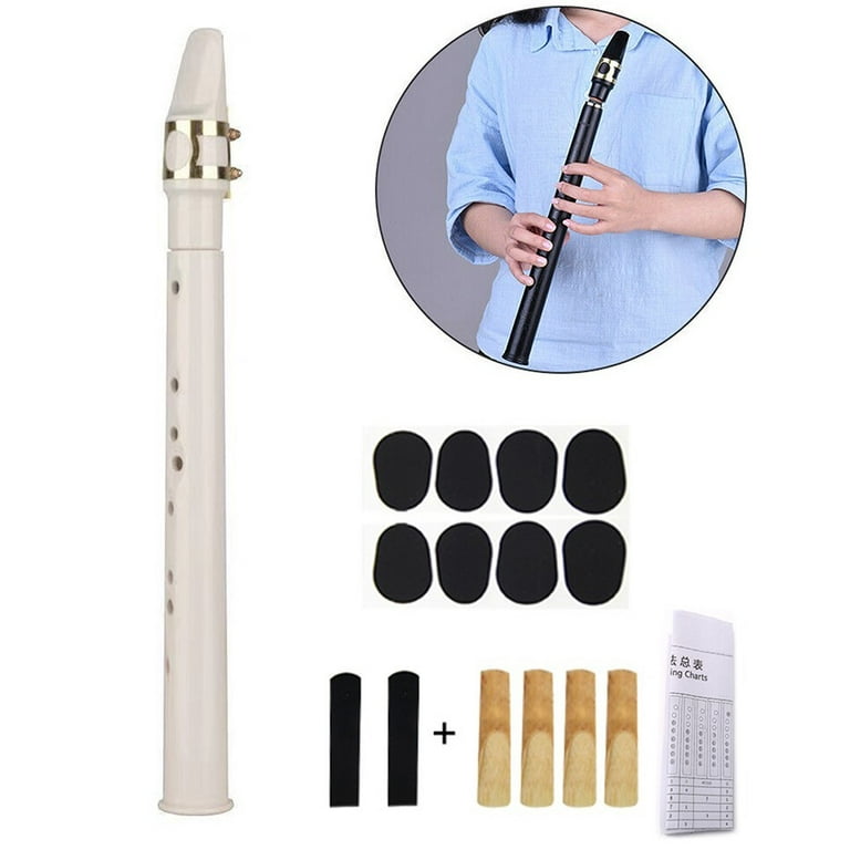 Mini Pocket Saxophone Little Sax Instrument Set with Reeds Pads Bag for  Beginner 