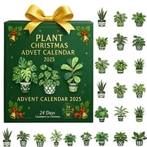 LanSuare Advent Calendar 2025 with 24 Pcs Green Plant Hanging Ornaments, Christmas 24 Days Countdown Calendar, Christmas Tree Decorations, Party Favor Gifts for Grandkids Teen