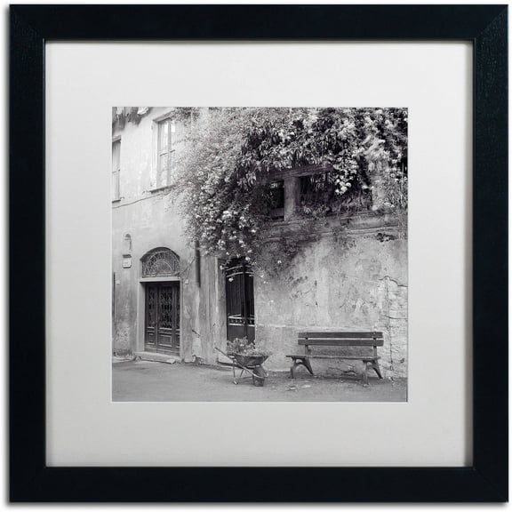 Trademark Fine Art "Liguria I" Canvas Art by Alan Blaustein, White Matte, Black Frame