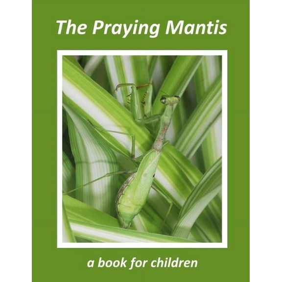The Wonderful World of Insects The Praying Mantis - a book for children: The tiny hunter, (Paperback)