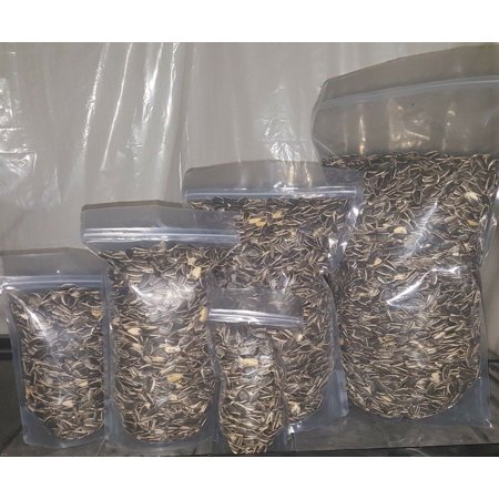 Medium Black SUNFLOWER Seeds UN-SALTED PARROT Bird Hamster Mouse