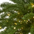 thumbnail image 3 of Nearly Natural 5' Christmas Palm Artificial Tree with 150 Warm White LED Lights, 3 of 8