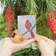 thumbnail image 4 of Small Carved Wooden Northern Cardinal Figurines, Handmade Female Cardinal 3.9inch Birds Craft Set, Cute Couple Birds Statues Home Decor Art Carving Work, 4 of 5