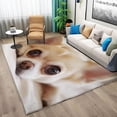 thumbnail image 2 of Area Rugs for Living Room 4x6 ft Machine Washable Large Soft Stain Resistant Rug Animal Chihuahua, Indoor Home Office Bedroom Dining Room Print Foldable Carpet, 2 of 6