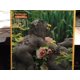 thumbnail image 2 of LONPOS 3 Dimensional 505 Brain Intelligence Juego Gris LONPOS 80-505, 2 of 2