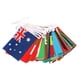 thumbnail image 2 of National String Flag Banner 100 Countries World Flags Small Flags Hanging Flags For Bar Decoration, 2 of 3