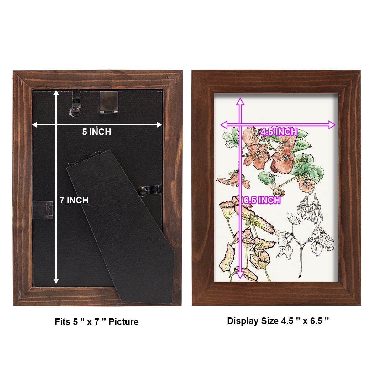 Begonia Study -Framed Print w/glass-Chestnut