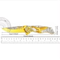 thumbnail image 4 of Men's Pocket Knife, Folding Knife with Clip, 3D Titanium Plated Wolf/ deer/ eagle/ skull Relief, Embossed Men's Knife, Outdoor Camping Hiking Hunting. Father's Day Gift, Christmas Gift, Birthday Gift, 4 of 10