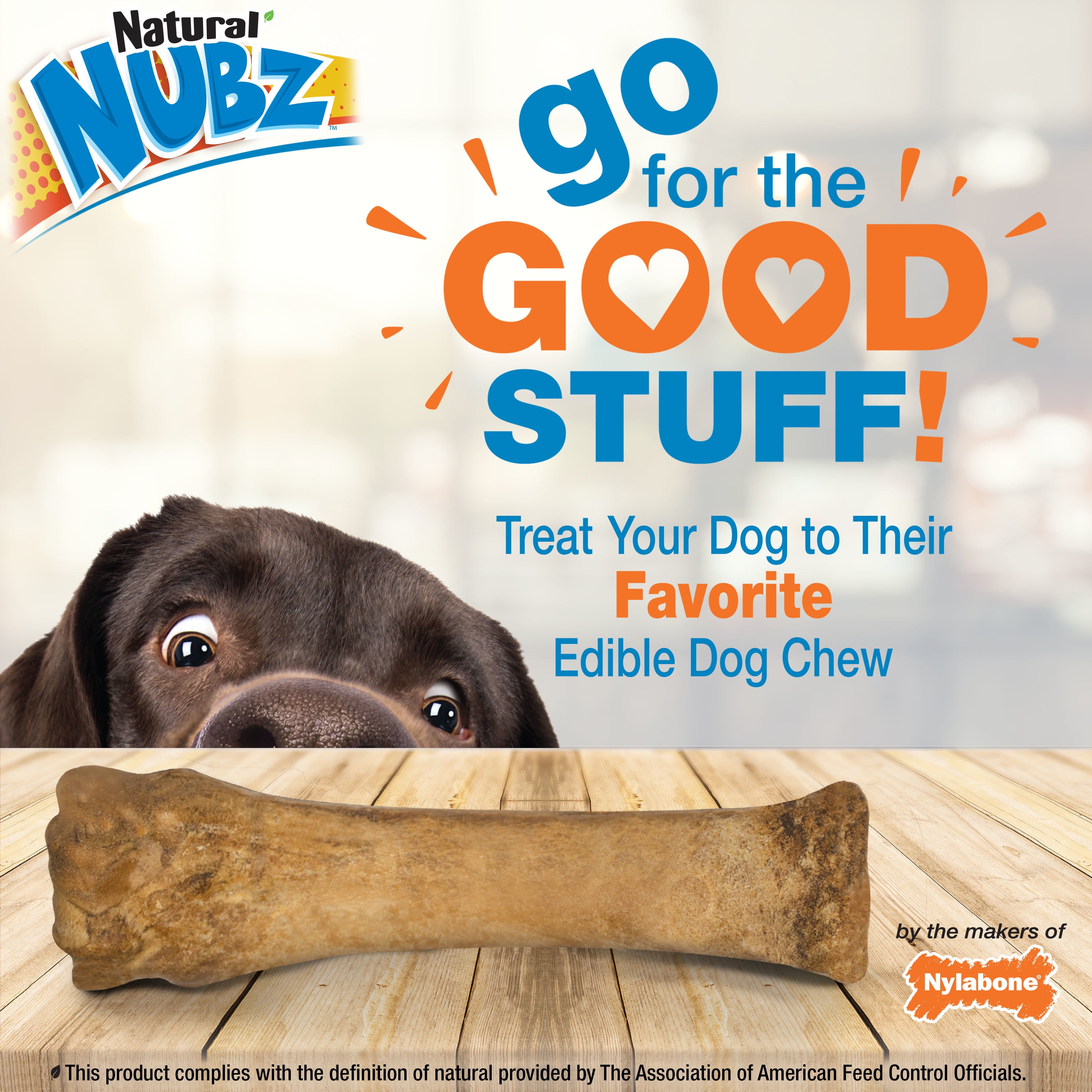 Are Nylabones Safe For Dogs To Eat