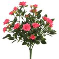thumbnail image 1 of Mini Rosa X5 Rose Vif - 15 Po., 1 of 1