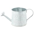 thumbnail image 1 of Retro Water Bucket Sprinkler Pot Iron Flower Pots Metal Vase Home Garden Decor, 1 of 8