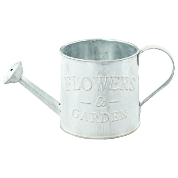 Home Decor Retro Water Bucket Sprinkler Pot Iron Flower Pots Metal Vase Home Garden Decor The Old