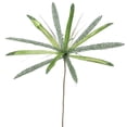thumbnail image 1 of Semence de Fleur de Papyrus de Chaux&44; 24 & 20 Po., 1 of 1