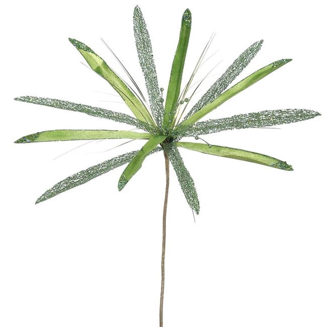 Semence de Fleur de Papyrus de Chaux&44; 24 & 20 Po.