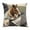 C, variant on Weloille Funny Office Throw Pillow Cover, Worker Meme Pattern Soft Breathable Pillowcase, Humorous Decor for Office, Living Room, Sofa, Bedroom