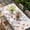 Gray Blue, variant on Spring Floral Table Cloths for 6 Foot Rectangle Tables, Elegant Pastoral Flowers Botanical Patio Waterproof Elastic Fitted Tablecloths, Washable Rectangular Table Cover for Camping