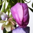 thumbnail image 3 of 60" Tulip Flowers Garland, 3 of 5