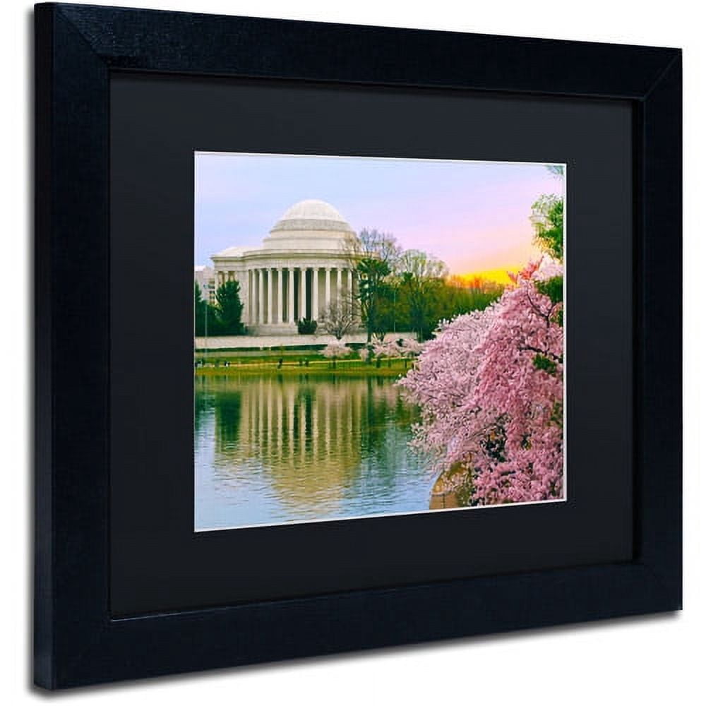 Trademark Fine Art "Cherry Blossoms 2014-6" Canvas Art by CATeyes, Black Matte, Black Frame