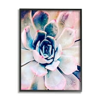 Modern Succulent Plant View Botanical & Floral Photograph Black Framed Art Print Wall Art