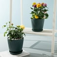 thumbnail image 4 of kurtrusly Modern Decorative Flower Pots Easy To Maintain Various Colors And Sizes light gray S pot+S tray 1Set, 4 of 6