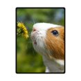 thumbnail image 1 of RYLABLUE Cute Pig Fleece Blanket Throw Blanket 58x80 inches, 1 of 1