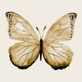 thumbnail image 2 of Medley, Elizabeth 20x20 White Modern Wood Framed Museum Art Print Titled - Butterfly of Gold I, 2 of 4
