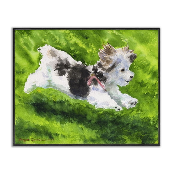 Stupell Industries Happy Maltipoo Running Black Framed Giclee Art, design by George Dyachenko