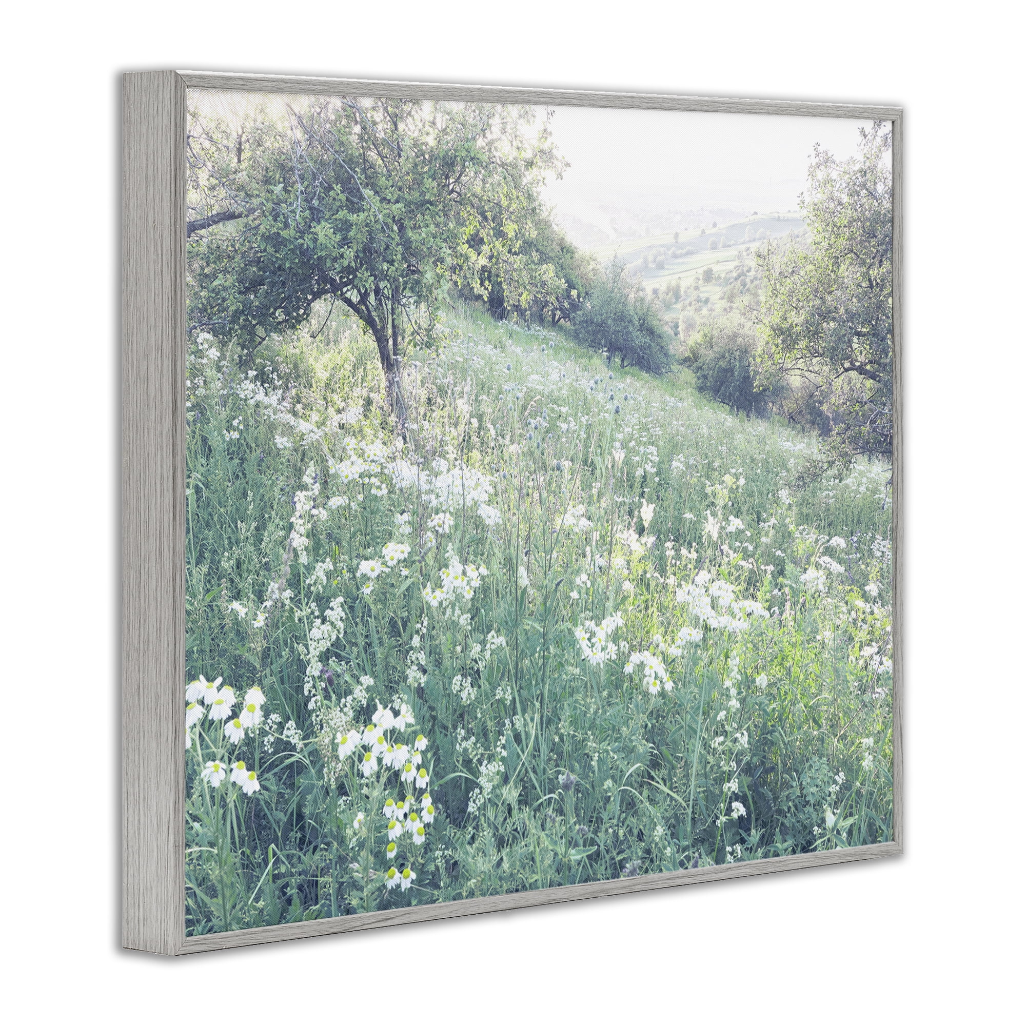 Stupell Industries Sunny Daisies in Meadow Gray Framed Giclee Art, design by Leah Straatsma
