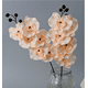 thumbnail image 3 of Xiao Hua 3 flores artificiales de orquídea polilla, flores falsas, flores artificiales para decoración de bodas, color champán, 3 of 5