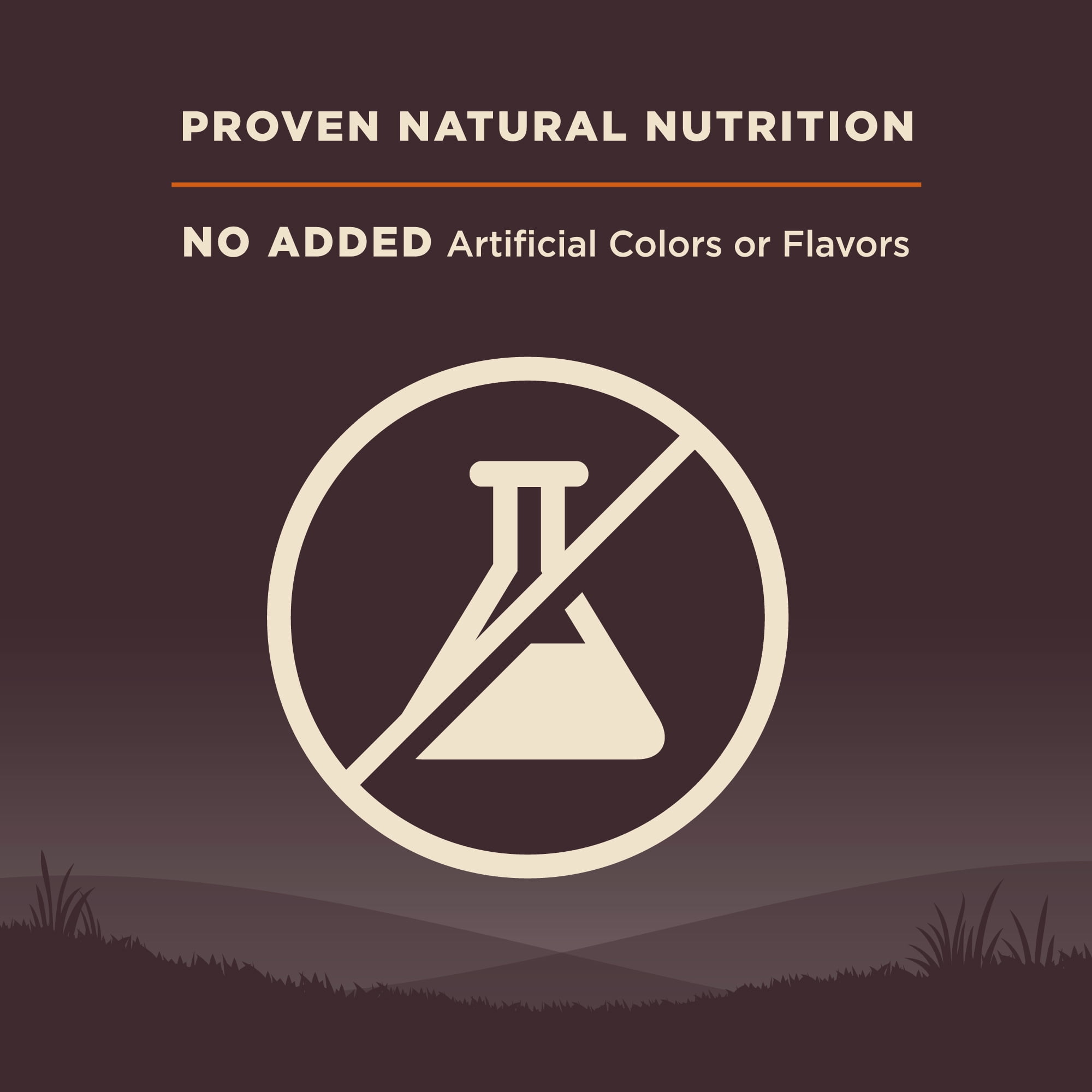 Wellness CORE Dry Dog Food, Grain Free, High Protein, Natural, Original Turkey & Chicken Recipe, (4-Pound Bag)