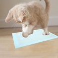 thumbnail image 3 of 20 almohadillas desechables superabsorbentes para entrenamiento de cachorros, impermeables y a prueba de fugas, para perros y gatos., 3 of 7