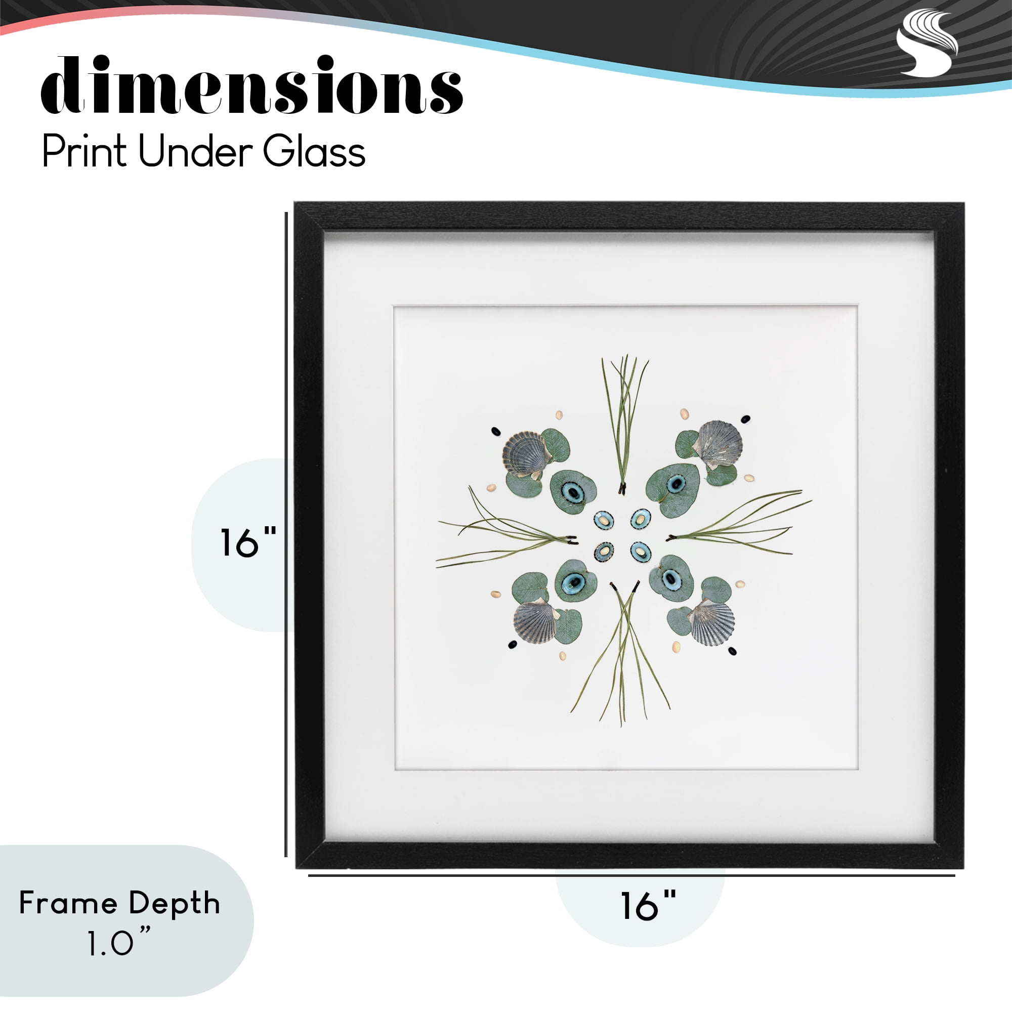 Stupell Industries Seashell & Leaf Symmetry Black Framed Print Under Glass, design by Beth Adoette