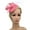 Pink, variant on AKEGAMN Wedding Casual Clip Women Hair Fascinator Headband, Purple One Size