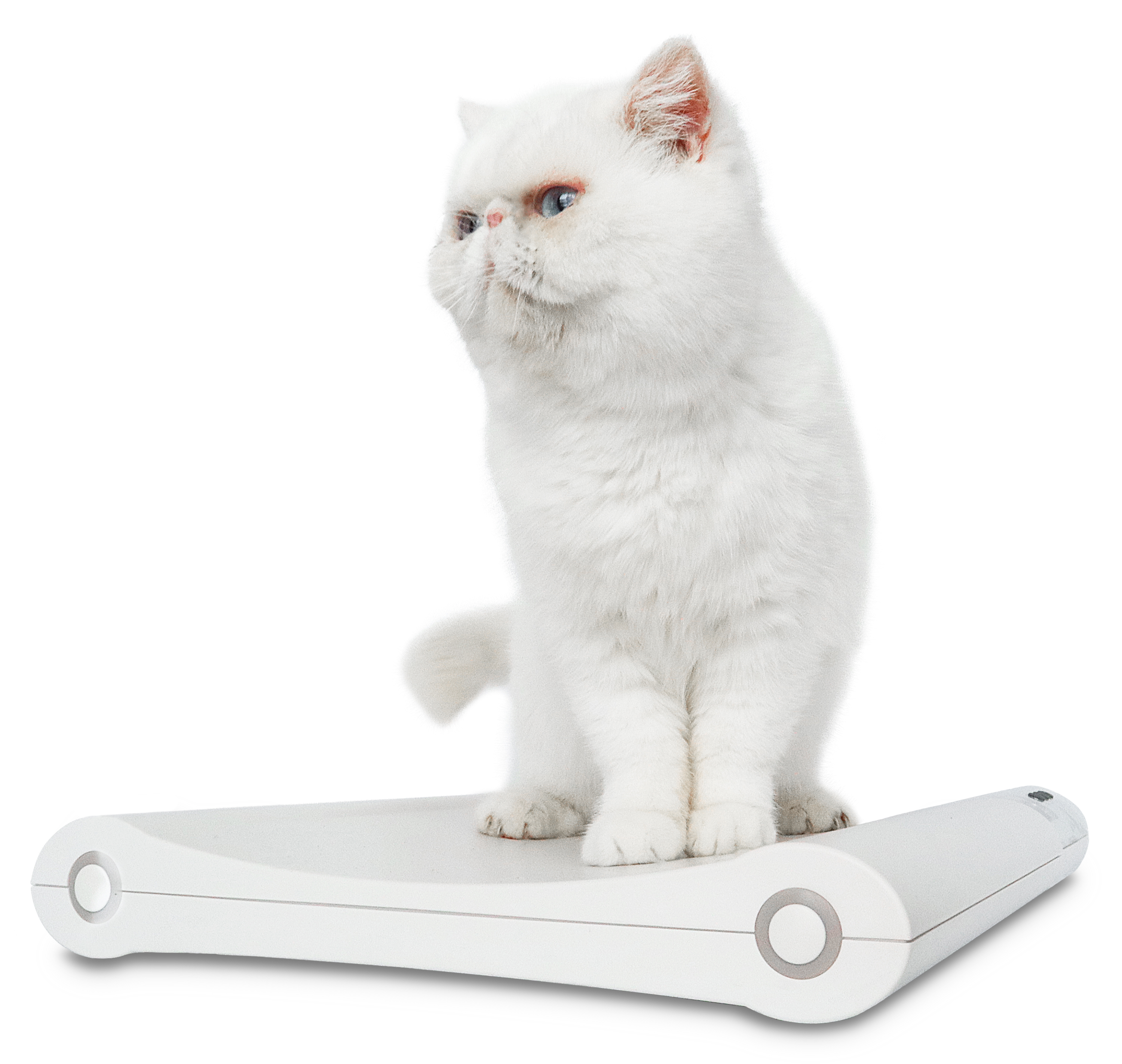 Cardinal Scales VET75 Digital Veterinary Scale - 75 x 0.02 lbs