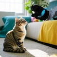 thumbnail image 4 of Cats Puppet Wrestler, Interactive Hand Puppet, Cat Wrestling Toy, 4 of 5