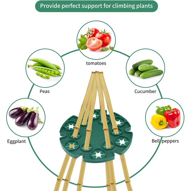 Juego de 6 soportes para frijoles de bambú para sostener plantas trepadoras, tomates, pepinos, clemátides LingWen 8390614697690