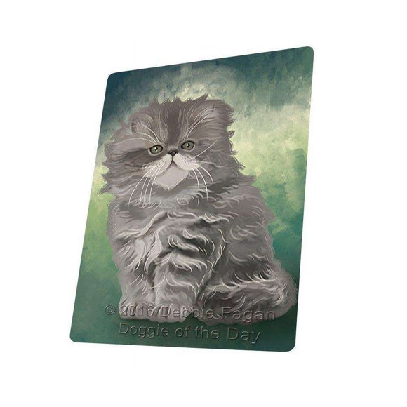 Persian Cat Blanket BLNKT48090