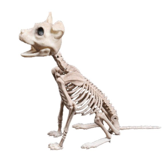 JUNWELL Halloween Skeleton Dog Prop Animal Bones Party Shop Decoration Horror
