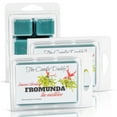 thumbnail image 4 of Fromunda The Mistletoe - Funny Christmas Under the Mistletoe Scented Wax Melts, 4 of 5