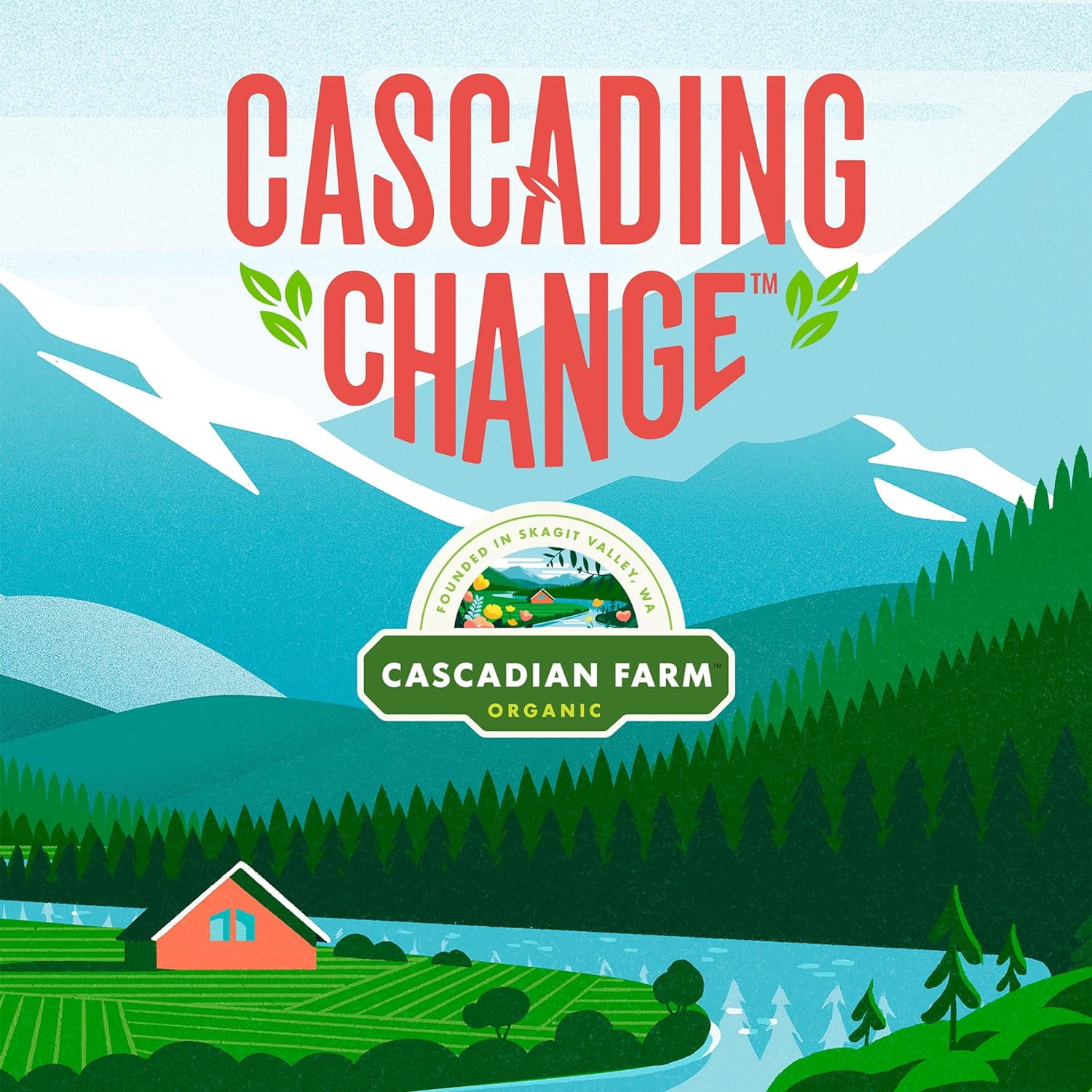 Pack of 12, Cascadian Farm Vanilla Chip Chewy Granola Bar, 7.4 oz