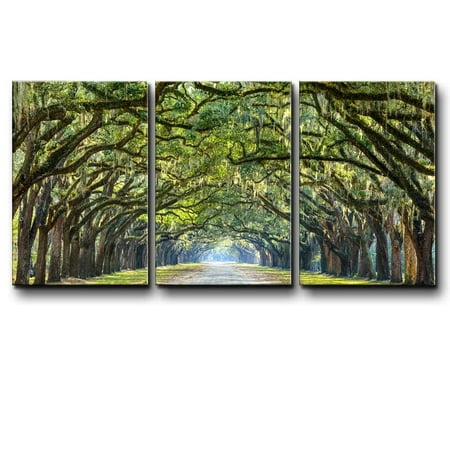 wall26 - Three Piece Canvas - Path Under an Arc of Trees with Leaves Dangling from The Branches on 3 Panels - Canvas Art Home Decor - 24x36