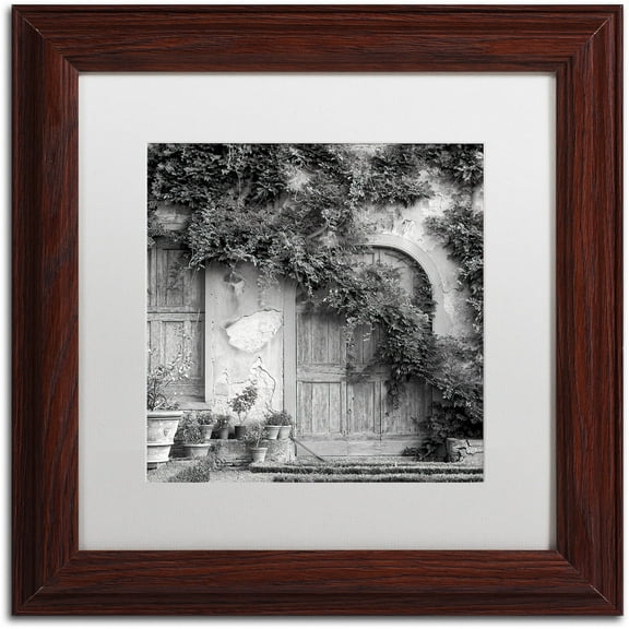 Trademark Fine Art "Tuscany VI" Canvas Art by Alan Blaustein, White Matte, Wood Frame