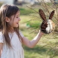 thumbnail image 4 of Handmade Alpaca Fiber Bird Nest Hanging Ornament - Easter Reusable Natural Habitat for Birds, for Garden & Yard, for Bird Lovers - 1Pc(Bunny), 4 of 9