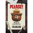 thumbnail image 3 of Colorado, Smokey Bear, Only You Can Prevent Forest Fires, Vintage Poster (12x18 Wall Art Poster, Room Decor), 3 of 3