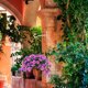 thumbnail image 1 of BEADCEST 2Jgo Gancho Para Colgar Plantas Pared Jardín Soporte Resistente De Hierro, 1 of 8