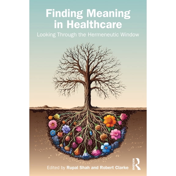 Finding Meaning in Healthcare: Looking Through the Hermeneutic Window, (Paperback)
