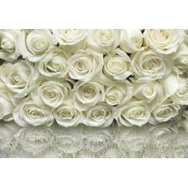 A la Rose Wall Mural